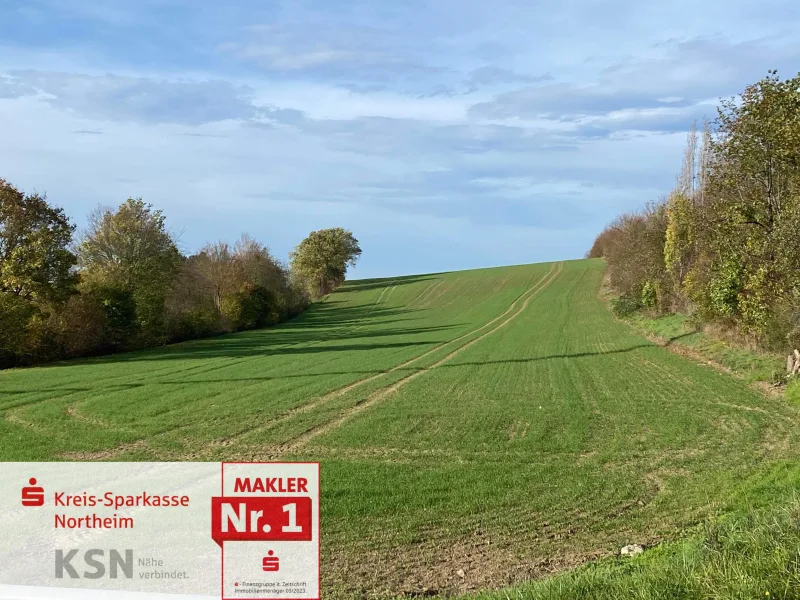 Ansicht Richtung Westen - Grundstück kaufen in Northeim - Ackerfläche für die Zukunft ausgerichtet!