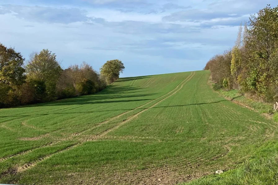 Ansicht Richtung Westen