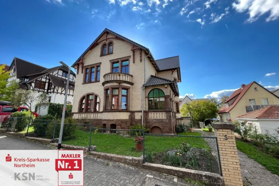 Ostansicht - Haus kaufen in Northeim - Imposante Stadtvilla - Einzeldenkmal - auf Eigentumsgrundstück! 