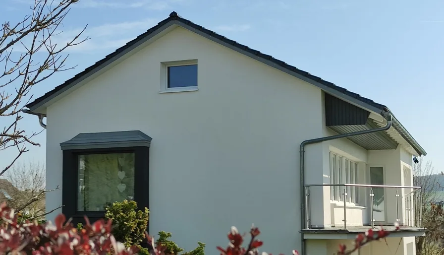 Seitenansicht - Haus kaufen in Dassel - Architektenhaus mit Weitblick!