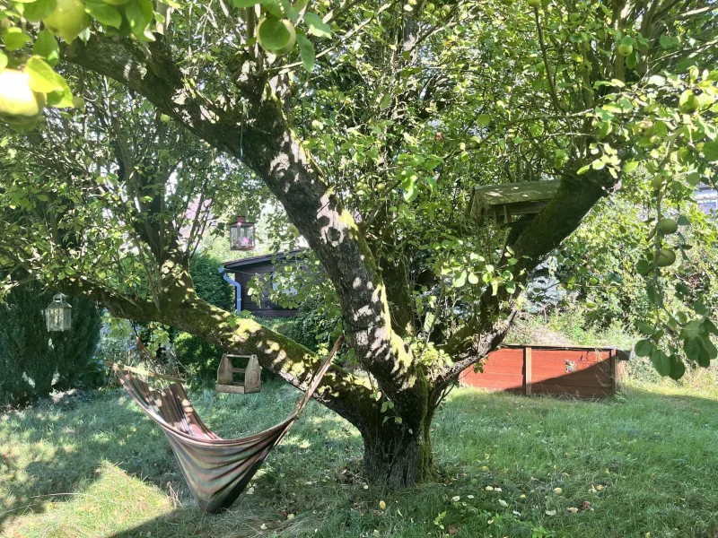 Ruhe-Oase unter dem Apfelbaum