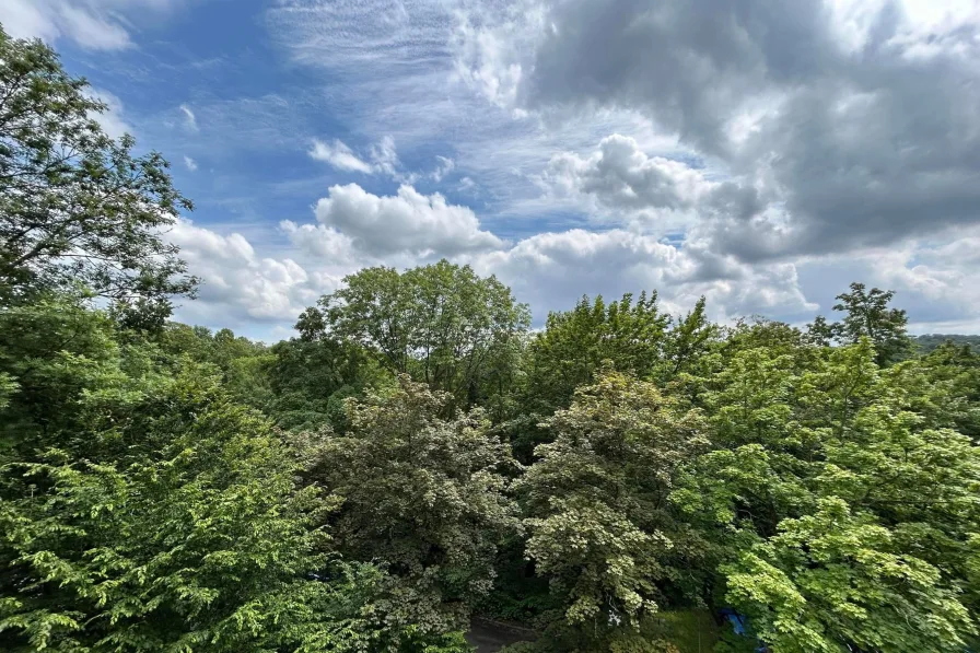 Aussicht vom Balkon