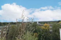 Aussicht von der Loggia