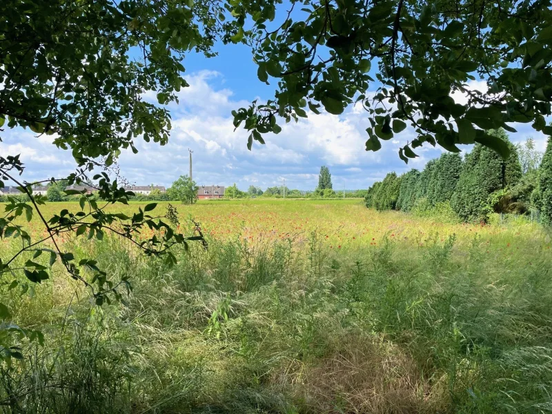 Ausblick vom Garten auf das Grundstück