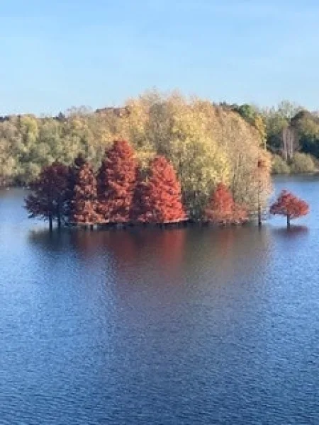 Impression vom Naherholungsgebiet Töppersee