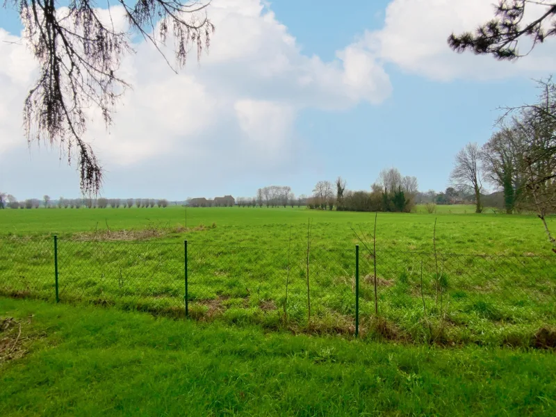 Ausblick vom Garten