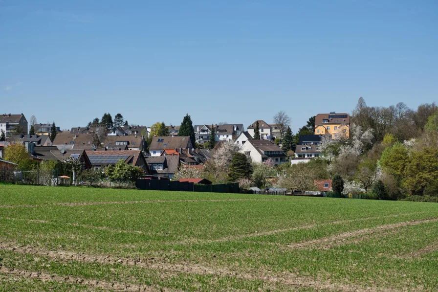 Wohnen direkt im Grünen