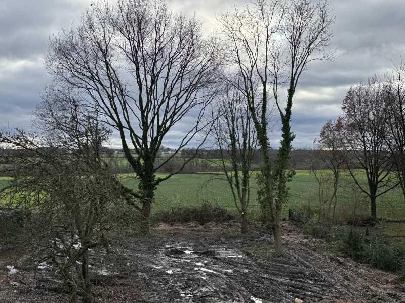 Ausblick vom Rohbau