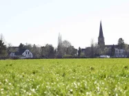 Grün im Stadtteil