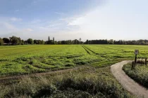 Ausblick auf das Feld