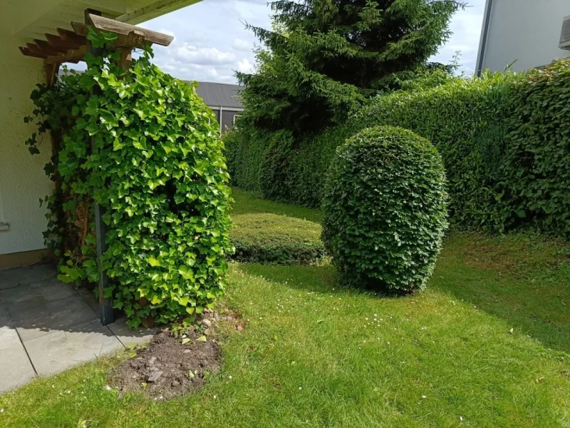 Gartengrundstück neben der Terrasse