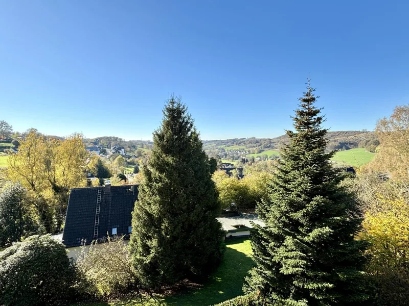 Fernblick vom Balkon