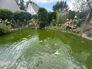 Koi-Teich