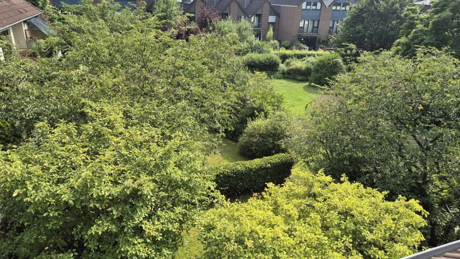 Blick vom Balkon auf die Grünfläche hinterm Haus