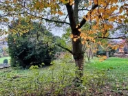 Herbst-Impressionen im Garten