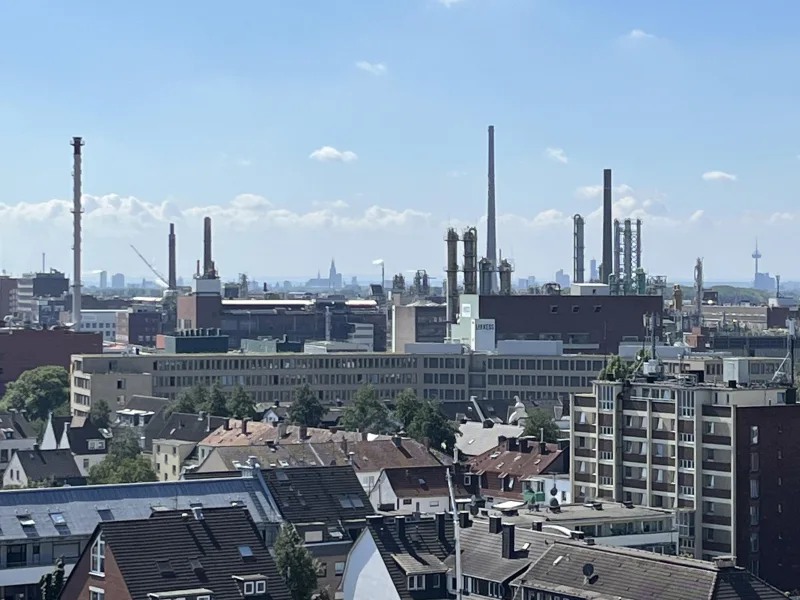 Blick auf den Kölner Dom