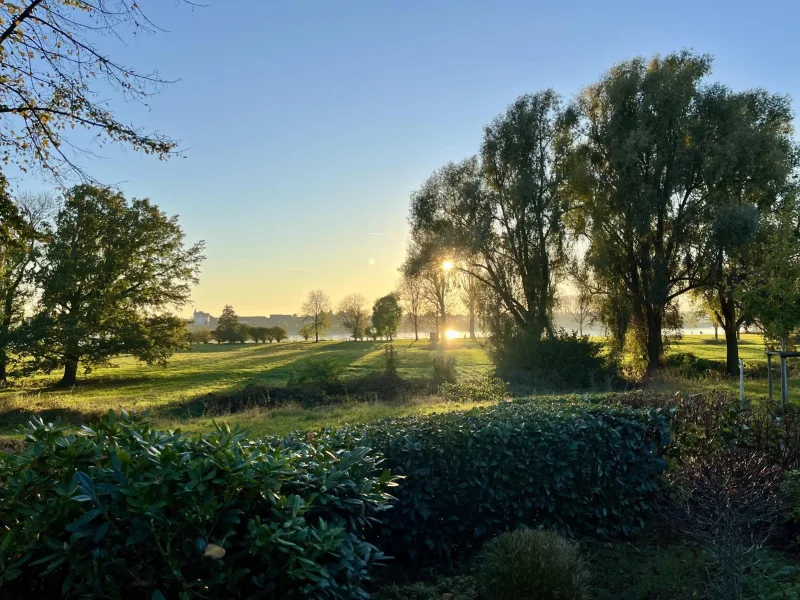 Blick auf Rhein