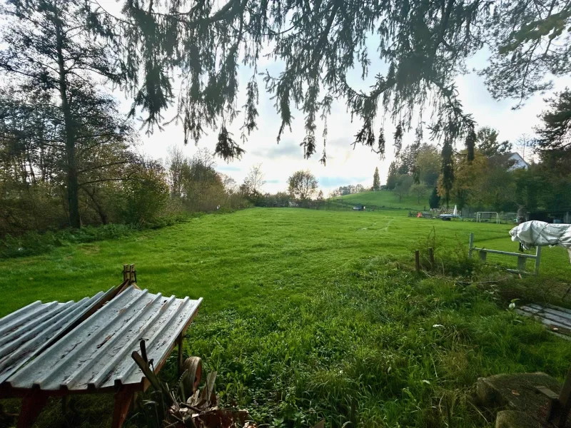 Blick zum südlichen Nachbargrundstück