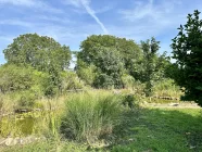 Gartenanlage mit Schwimmteich