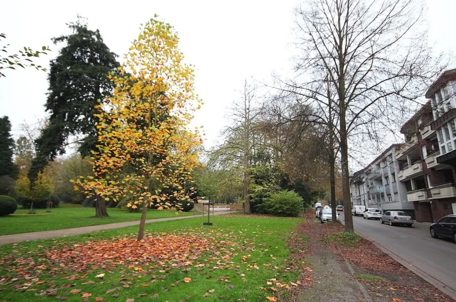  - Wohnung kaufen in Mönchengladbach - Ein Park vor der Haustür!