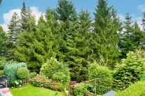 grüner Ausblick Loggia