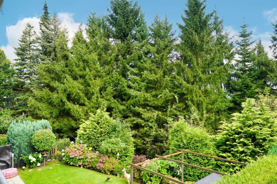 grüner Ausblick Loggia