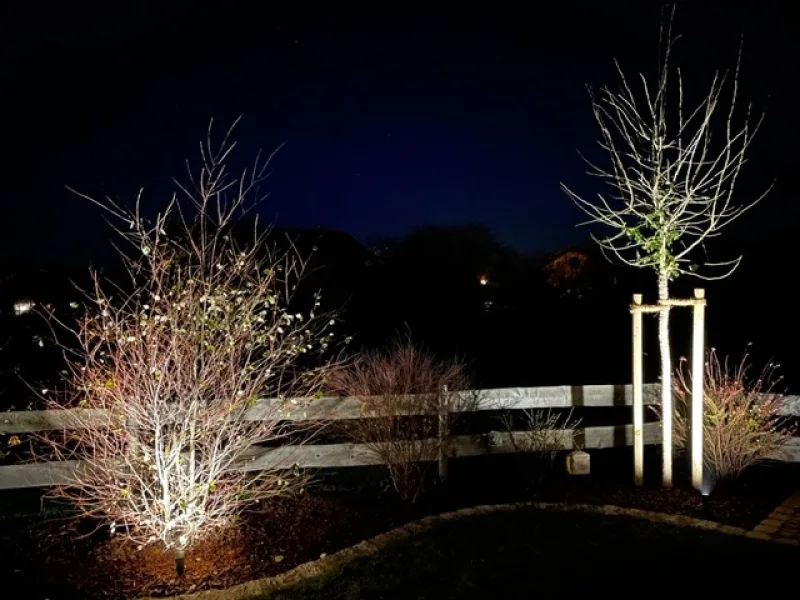 Garten bei Nacht