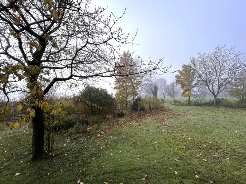 Südlicher Gartenbereich