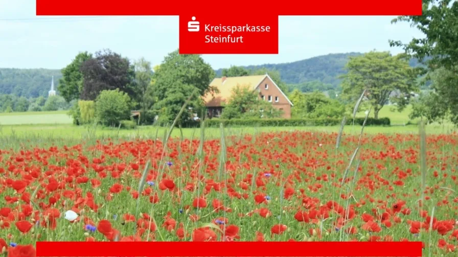 Blick von Süden - Haus kaufen in Tecklenburg - Mit dem Teuto auf Du und Du