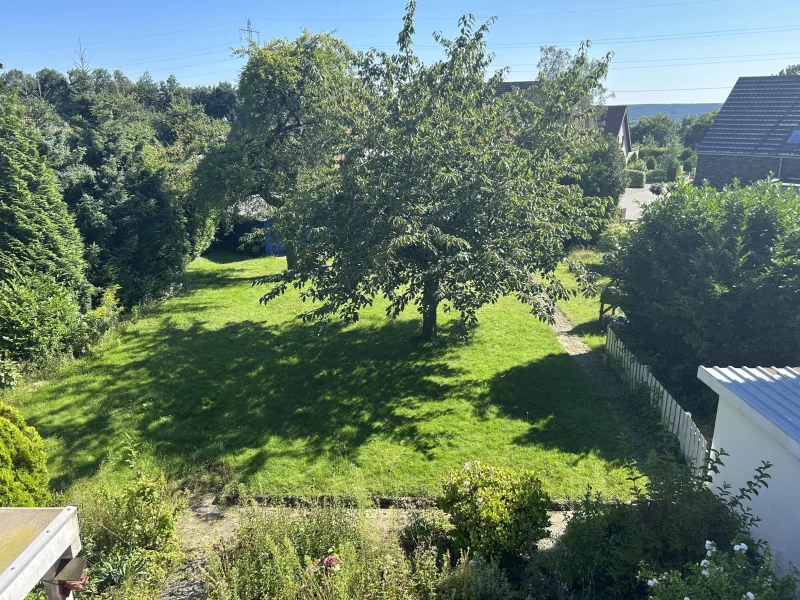 Blick in den Garten