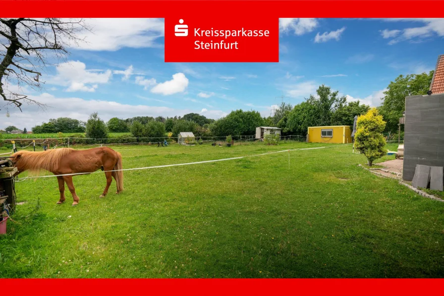 Garten - Haus kaufen in Mettingen - Tierfreunde aufgepasst. Großzügiges und saniertes Anwesen in Alleinlage!  