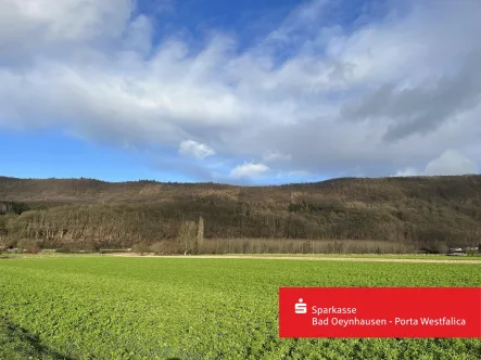 Waldabschnitt im Wiehengebirge - Grundstück kaufen in Bad Oeynhausen - Waldparzelle im Wiehengebirge