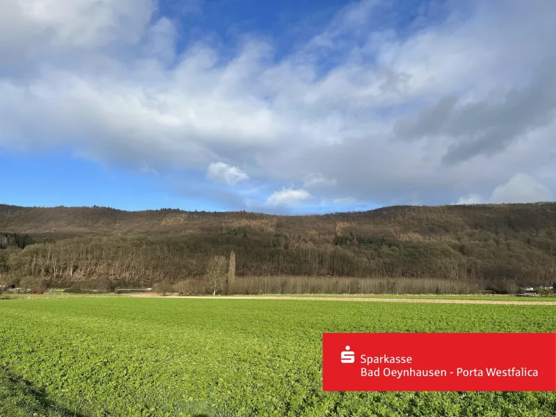 Waldabschnitt im Wiehengebirge - Grundstück kaufen in Bad Oeynhausen - Waldparzelle im Wiehengebirge