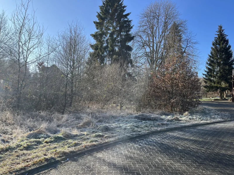 Außenaufnahme - Grundstück kaufen in Herdorf - Baugrundstück in zentraler ruhiger Lage in Herdorf!