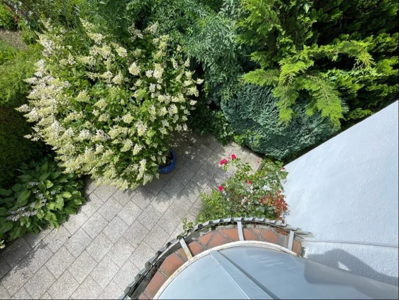 Blick auf Terrasse