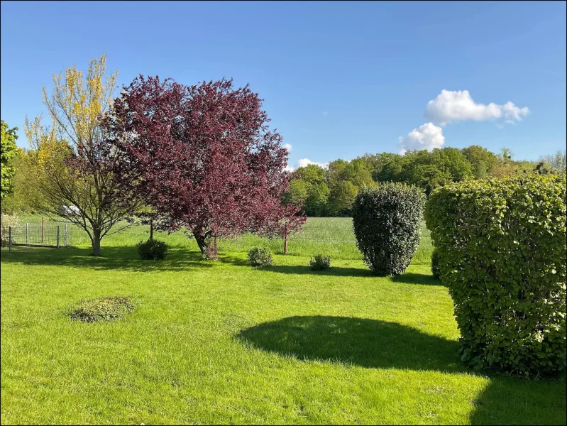 Schöne Aussicht in den Garten mit unverbauter Kulisse