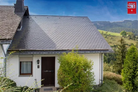 3008084a Ansicht fio - Wohnung kaufen in Willingen - Willingen erleben!Gepflegte ETW mit großem Balkon und toller Aussicht in Schwalefeld