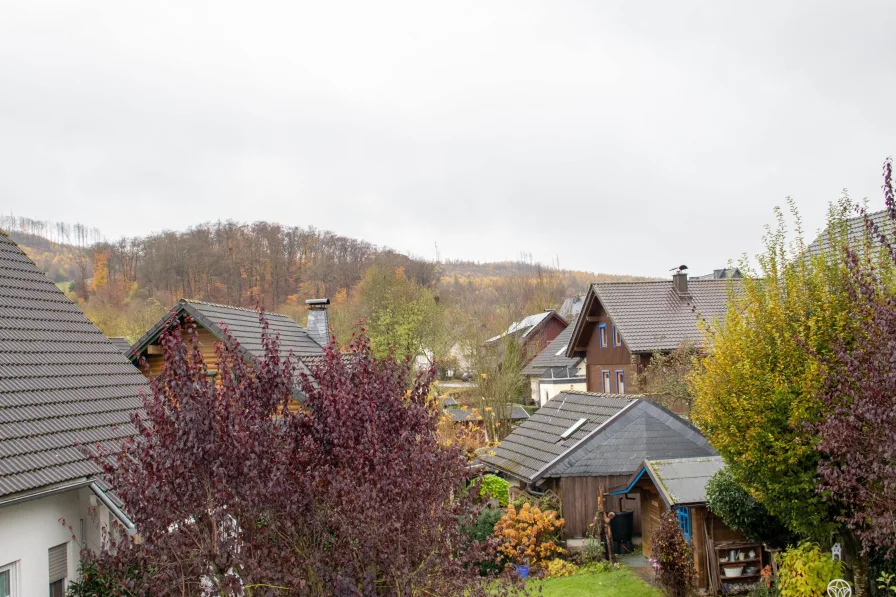 3025114o Aussicht Balkon