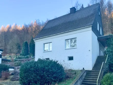 3030124a Ansicht - Haus kaufen in Brilon - Naturnahes Wohnen im Sauerland!Gemütliches Einfamilienhaus in Brilon-Wald