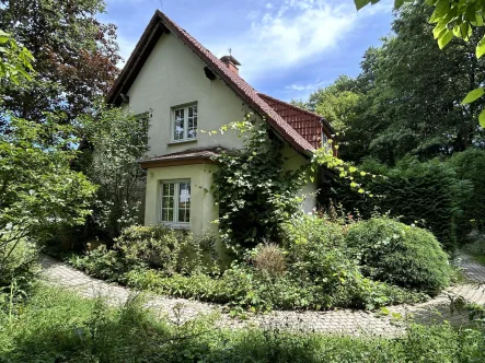  - Haus kaufen in Dörentrup - Ihr Zuhause - Zentral und im eigenen Park! 