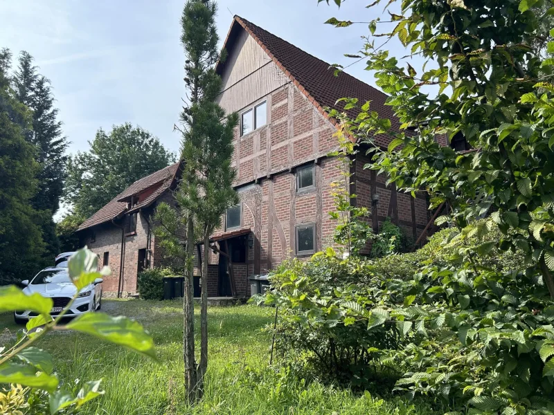 Straßenanischt - Haus kaufen in Dörentrup - Besonders historisch im Dorfzentrum?!!