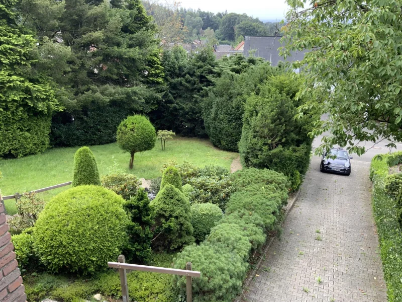 Blick von der Dachterrasse auf Garten und Zufahrt