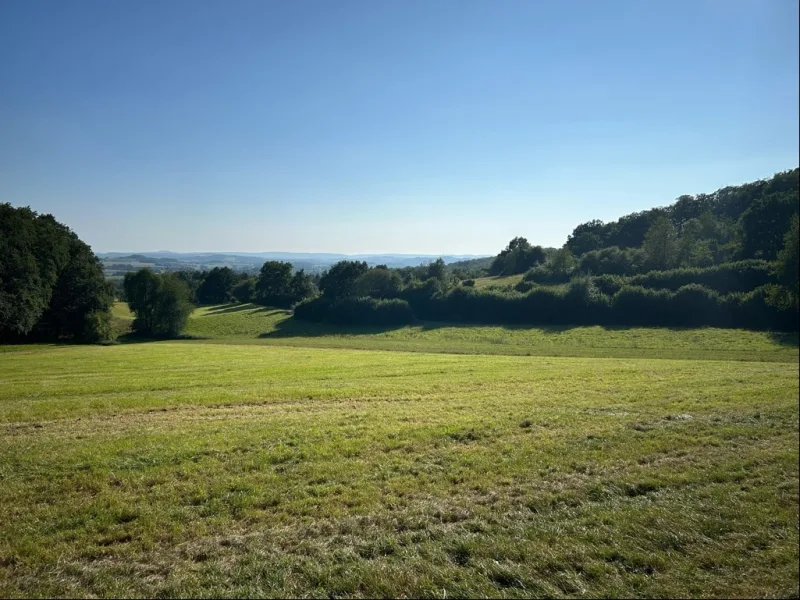 Weide- und Waldflächen - Grundstück kaufen in Dörentrup - Land- und Forstwirtschaftliche Fläche in Dörentrup 