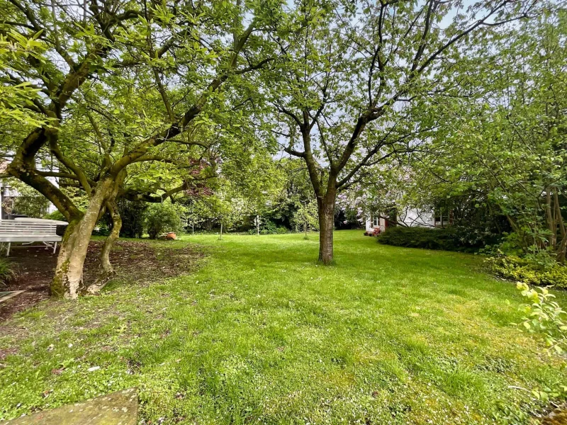 Blick in den Garten mit altem Baumbestand