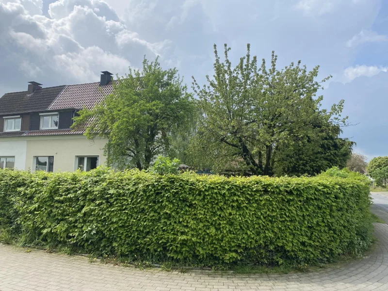 Rückansicht mit Hecke 