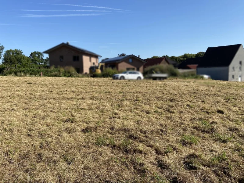 Blick auf das Grundstück von Süd nach Nord