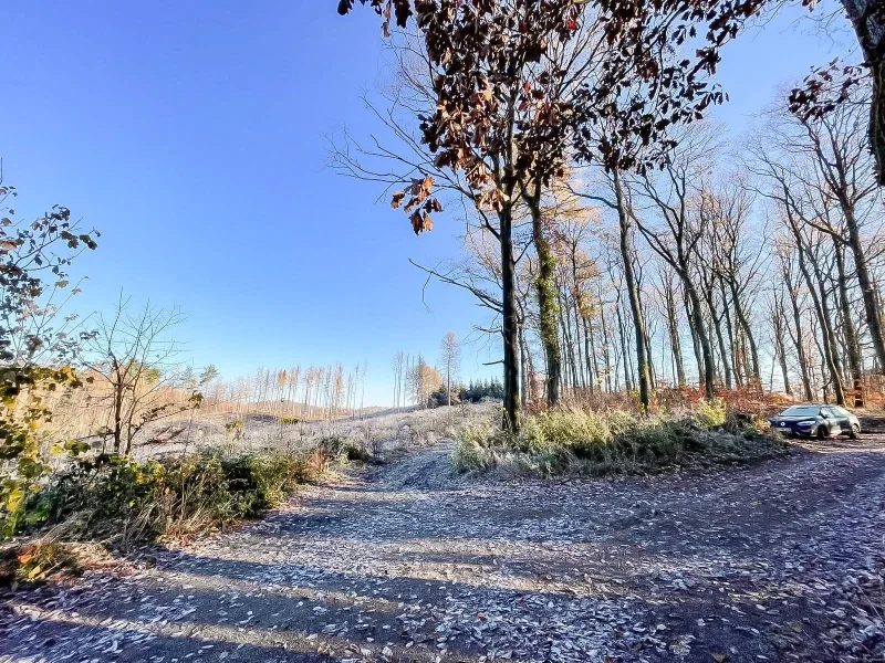 Blick aufs Gelände