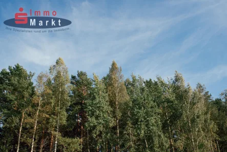 Beispielbild - Grundstück kaufen in Brockum - Waldflächen im Stemweder Berg!