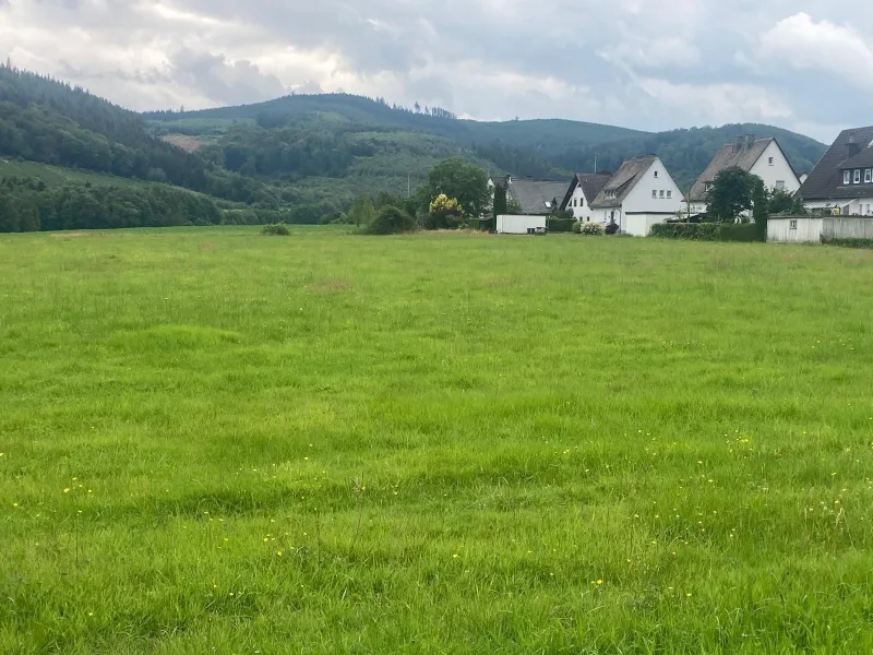  - Grundstück kaufen in Meschede - Ihr Traum vom Neubau...