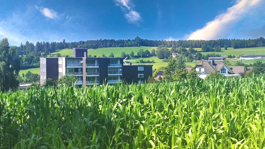  - Wohnung kaufen in Schmallenberg - Den Sonnenaufgang stets im Blick.....